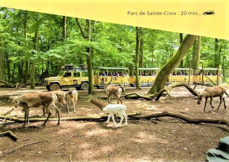 Le Street'Art: Urban Retreat near Parks and Attractions Apartment Sarrebourg Exterior photo